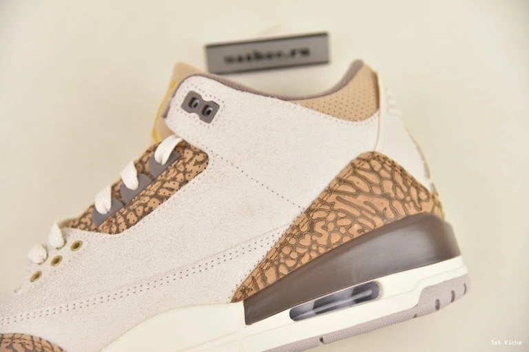 3 Palomino Air Jordan CT8532-102 0425